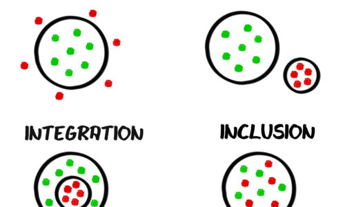 Inclusion